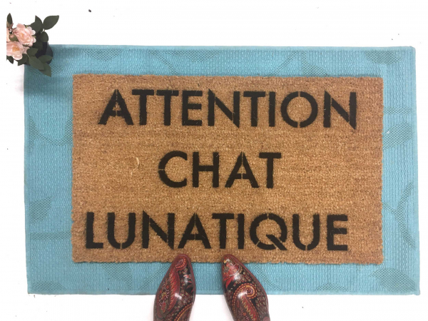 ATTENTION CHAT LUNATIQUE crazy cat door mat french cat lady doormat doormatt