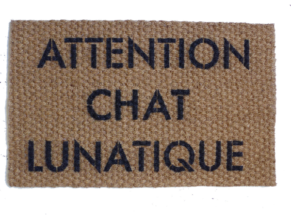 ATTENTION CHAT LUNATIQUE crazy cat door mat french cat lady doormat doormatt