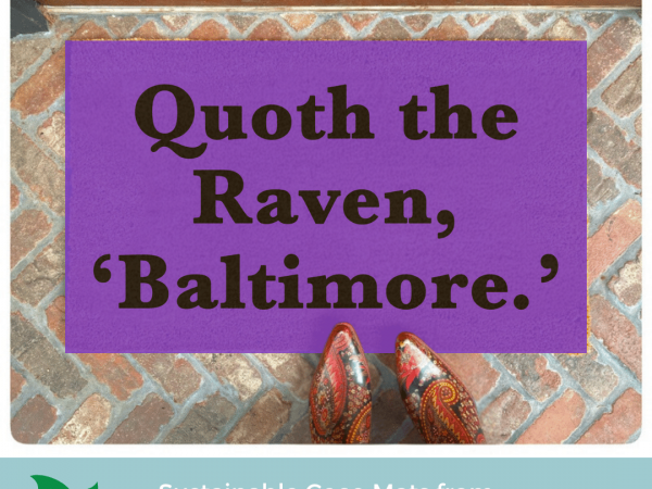 Superbowl  Baltimore Ravens Poe quote doormat