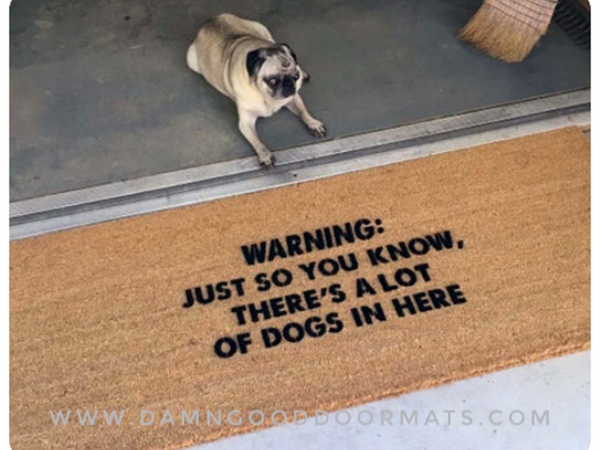 DOGS Warning: Just so you know, there's a lot of dogs in here™